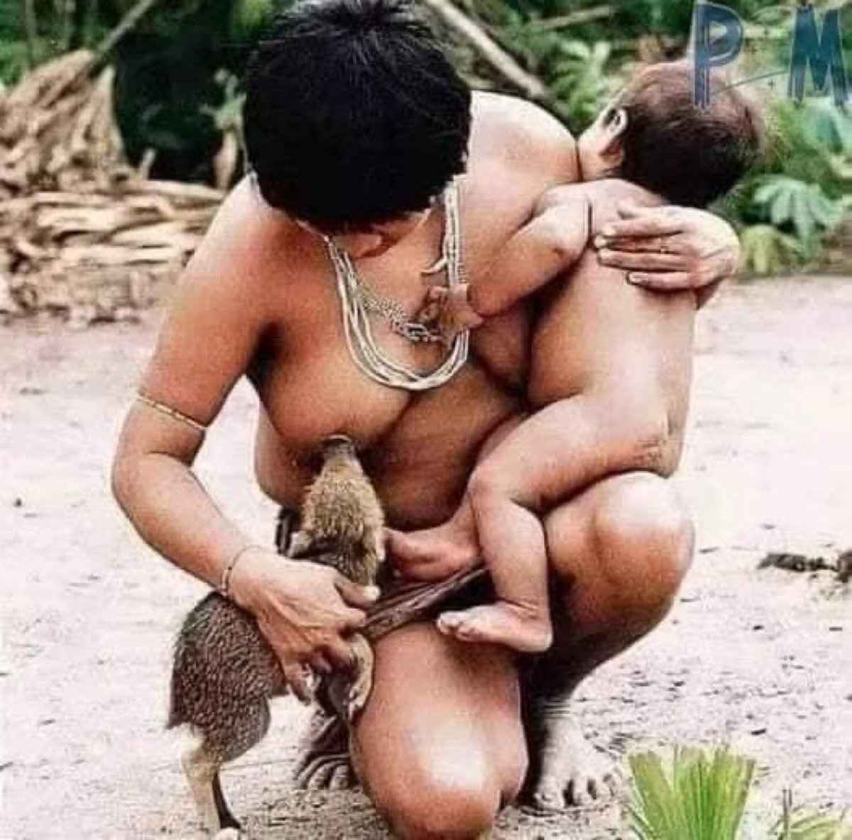 Fotos del Amazonas profundo🌳

Abro hilo 🧵