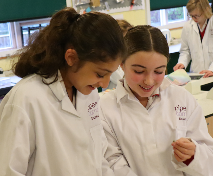 PipersSenior's tweet image. Did you know flowers are the reproductive organs of plants and flowering plants can reproduce sexually? Today, #PipersYear7 explored this in #PipersScience by dissecting flowers, identifying male (pollen) and female (ova) sex cells. Hands-on learning in action! 🌿 #PipersInspire