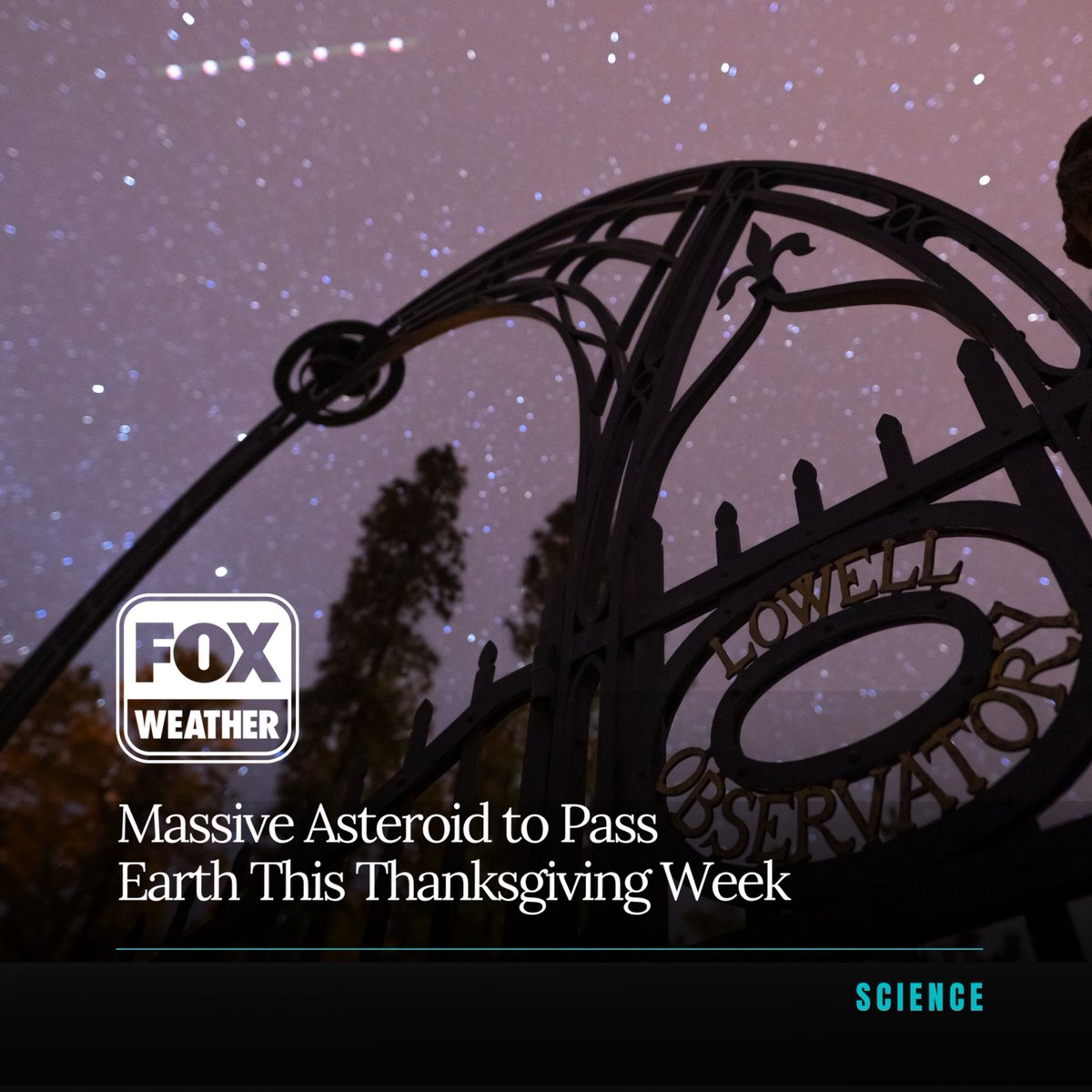 Lobeline Communications tweet media