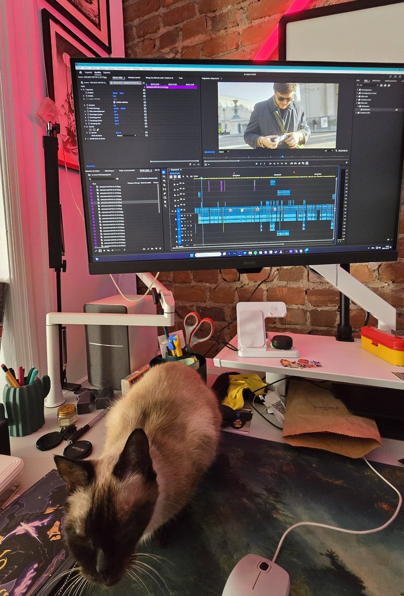 Enfin du temps pour me mettre aux longs montages du projet des XX cœurs de Paris, prochaines vidéos à venir avec <a href="/HugoLoupy/">Loupy</a> que j'ai hâte que vous découvriez!