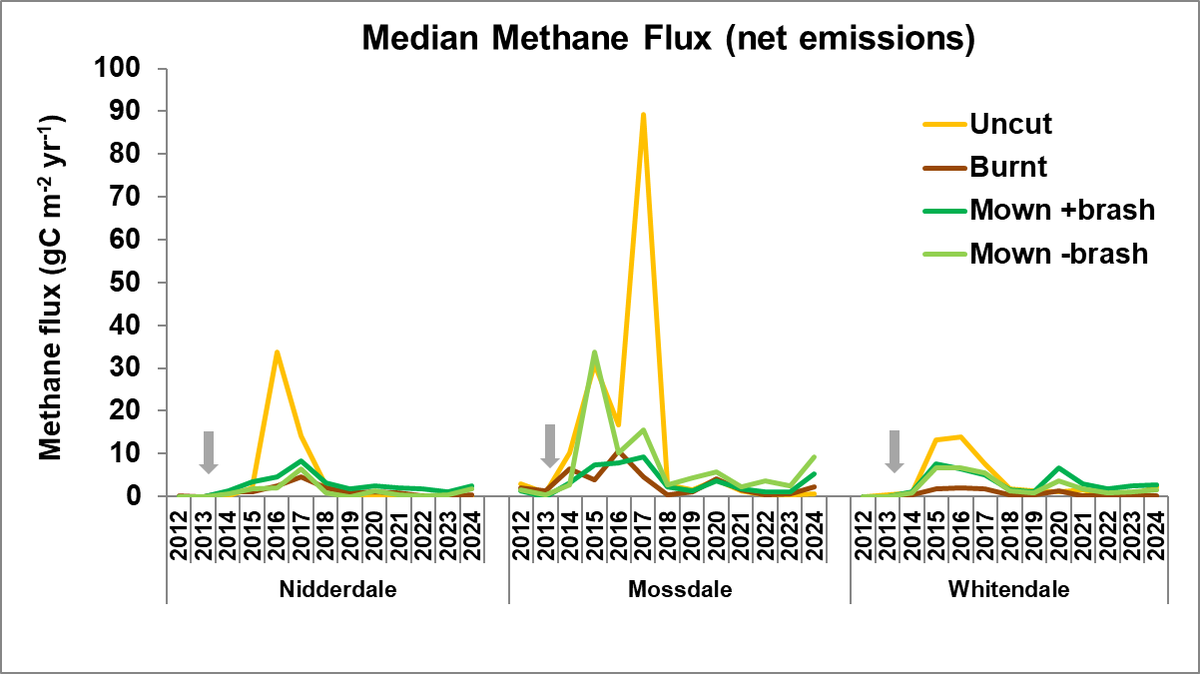 Andreas Heinemeyer tweet media