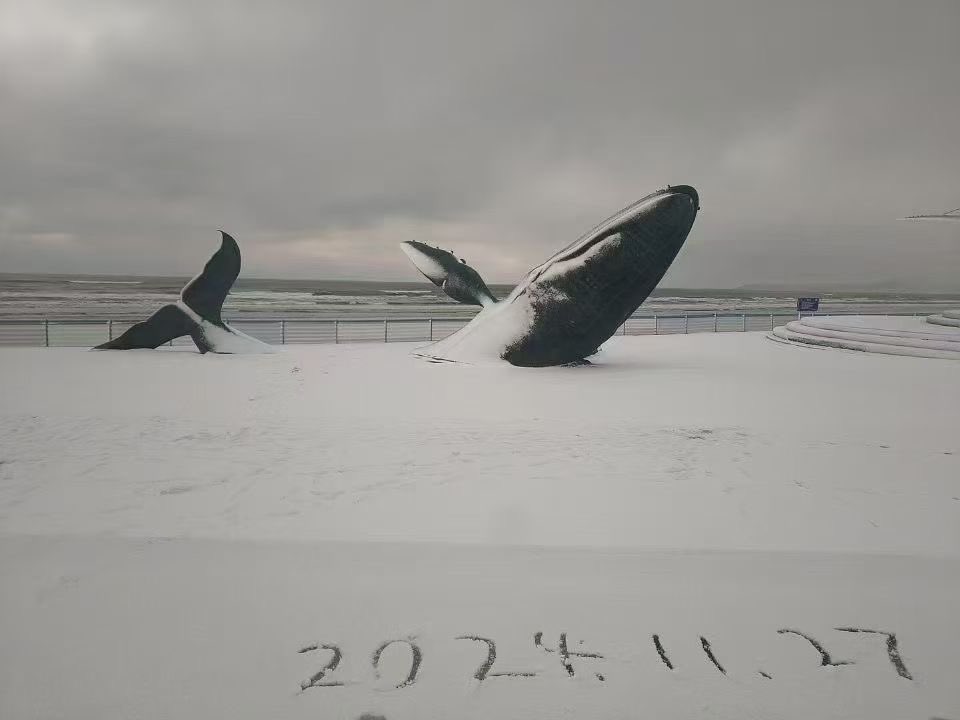 wangyan44477279's tweet photo. 山东雪窝子要开始了 https://t.co/E8jGVWgn3v