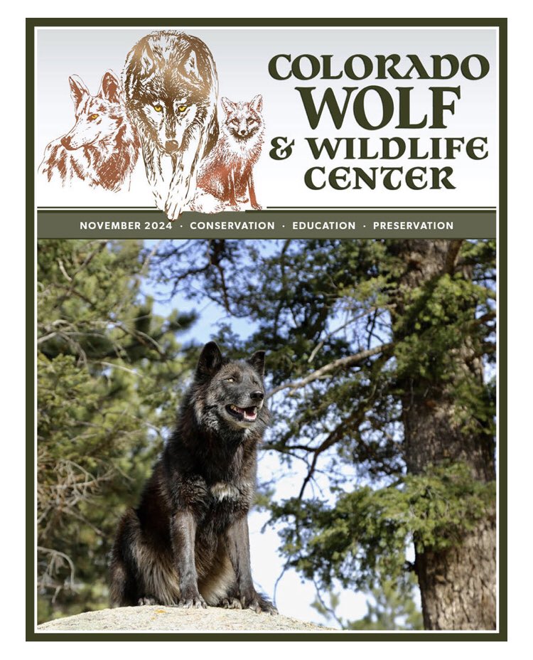 SamanthasLaw's tweet image. #CWWC 
wolfeducation.org