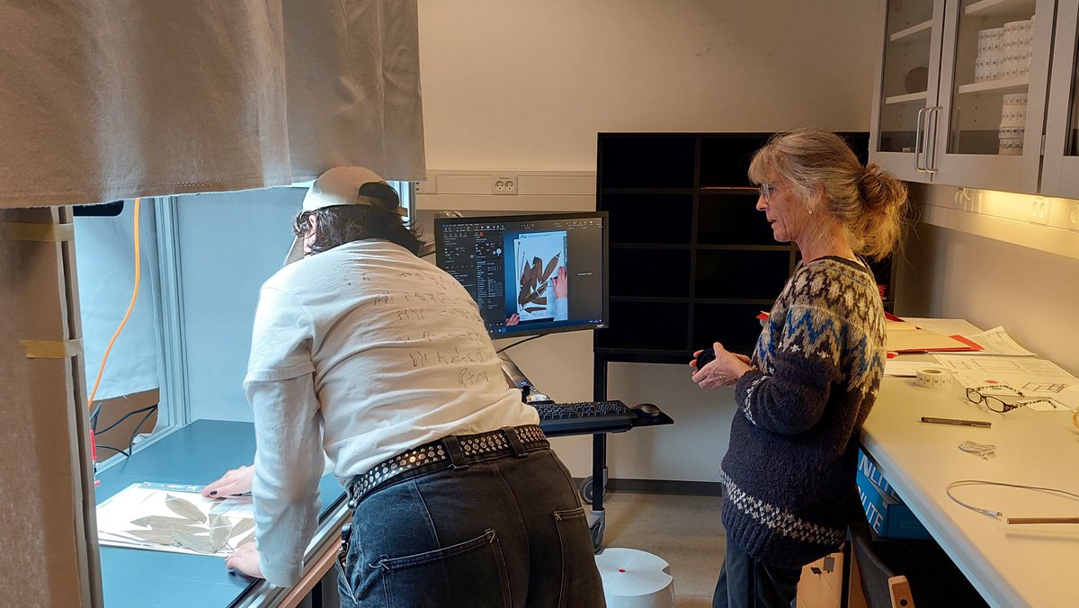 In Aarhus our Herbarium Sheet #Digitisation workstation is now also up and running! We are excited to be digitising more and more in #Denmark 🍀🌎