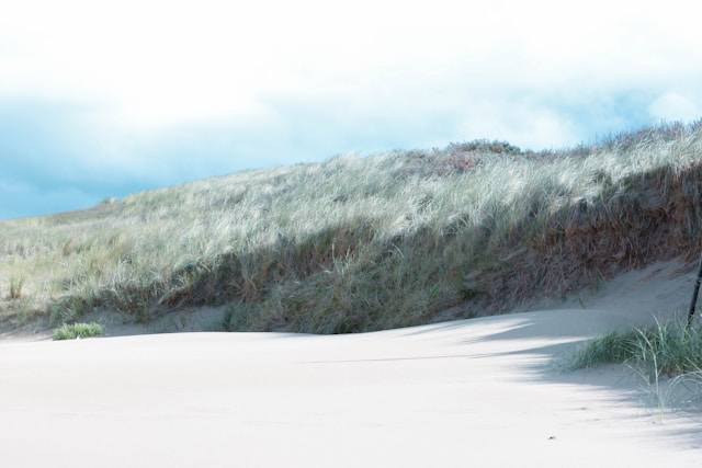 Natuur krijgt vrij spel op het strand, geen extra permanente strandpaviljoens
Er komt geen mogelijkheid voor meer strandtenten die het hele jaar mogen blijven staan en meer ruimte voor de natuur. Met
Lees verder bij de bron: denhaagcentraal
Photo by Fenna van Casand on Unsplash
