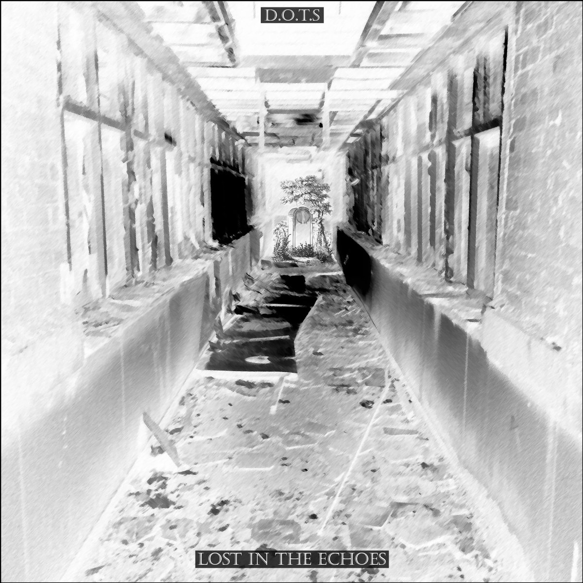 D.O.T.S Adam tweet media