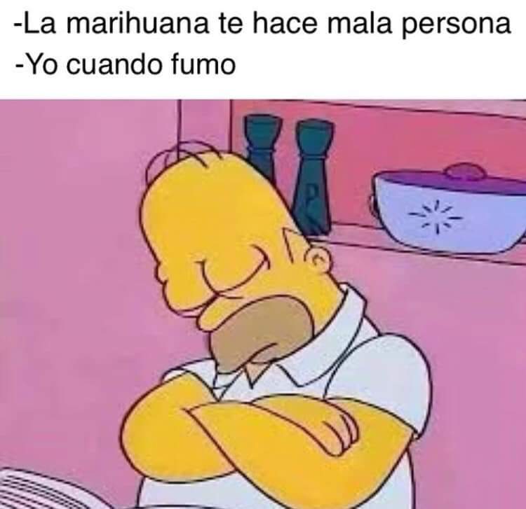 KushStation1's tweet image. 