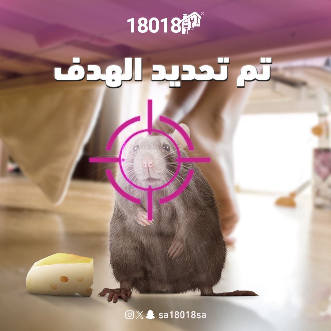 sa18018sa's tweet photo. سيتم التخلص من جميع القوارض التي تزعج راحتك 🐀

#تنظيف #وقاية #فريق #خدمة
#service #cleaner #cleaning #team #18018 https://t.co/yxfoF0Y9zW