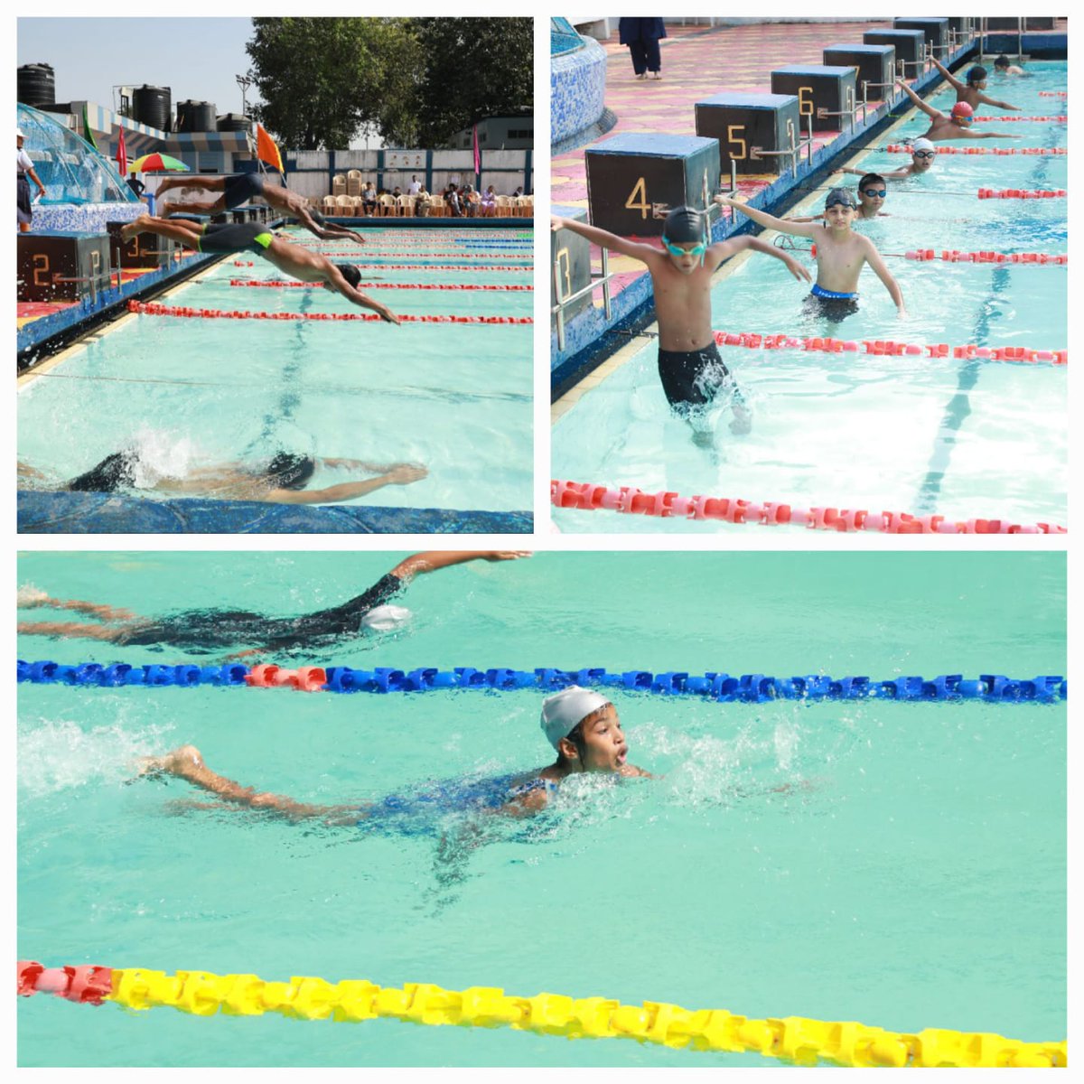 IN_NCSMumbai's tweet photo. A splash of excitement at NCS Mumbai's Aquatic Annual Meet! Students from U/8 to U/18 showcased their skills in freestyle, breaststroke, backstroke &amp; butterfly. Cmde Chiplunkar (NCS Mumbai Vice Chairperson) was Chief Guest for juniors, and Cmde Kohli (CO, INS Angre) for seniors. https://t.co/t4qwtQjrch