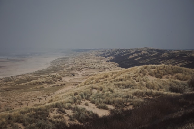 Gemeente Den Haag wil meer ruimte voor de natuur rondom haar stranden
In de nieuwe strandvisie ‘Meer Strand Natuurlijk’ presenteert de gemeente Den Haag uitgangspunten voor het Haagse strandbeleid. Het vinden van 
Lees verder bij de bron: pretwerk
Photo by sander traa on Unsplash