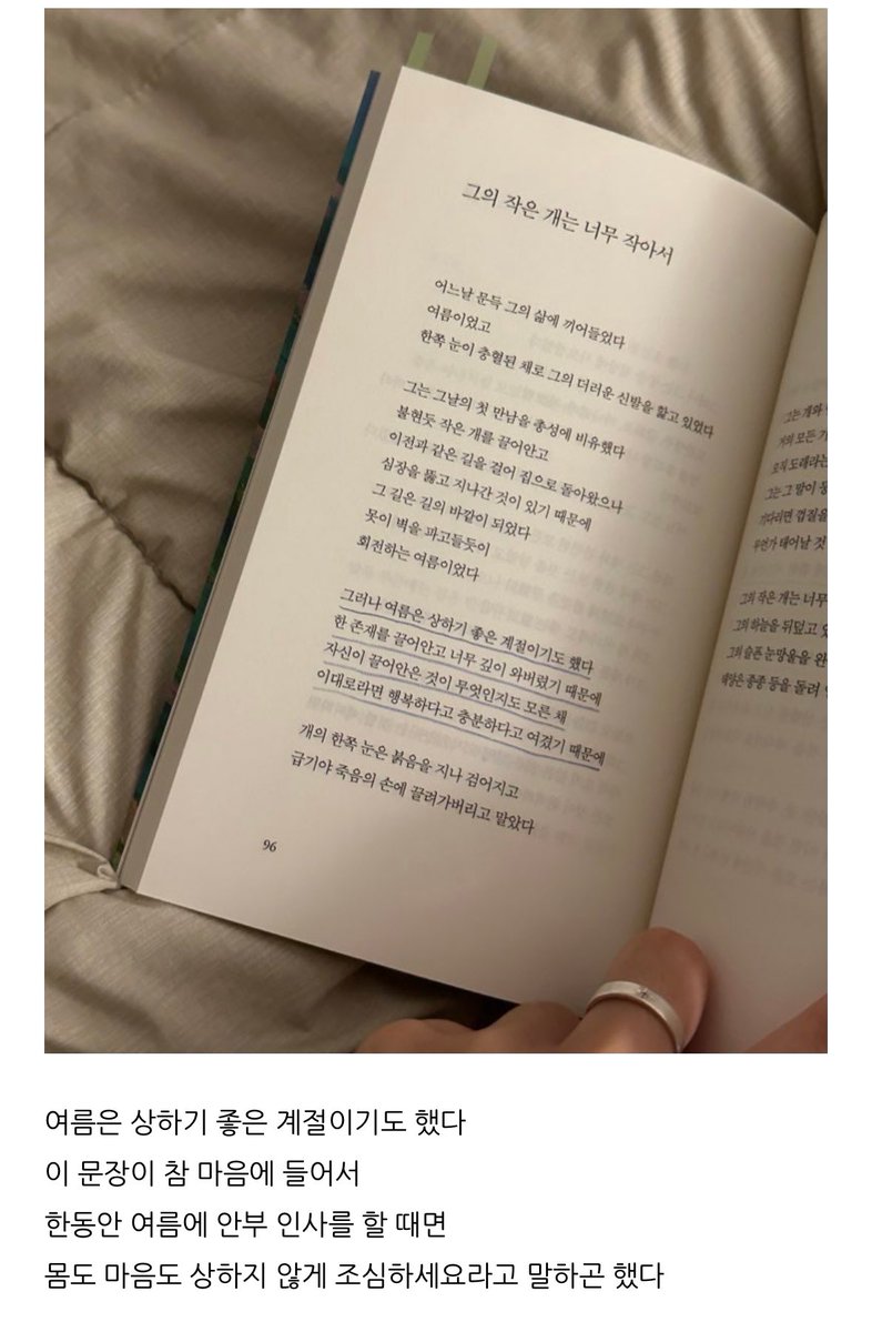 윤 tweet media