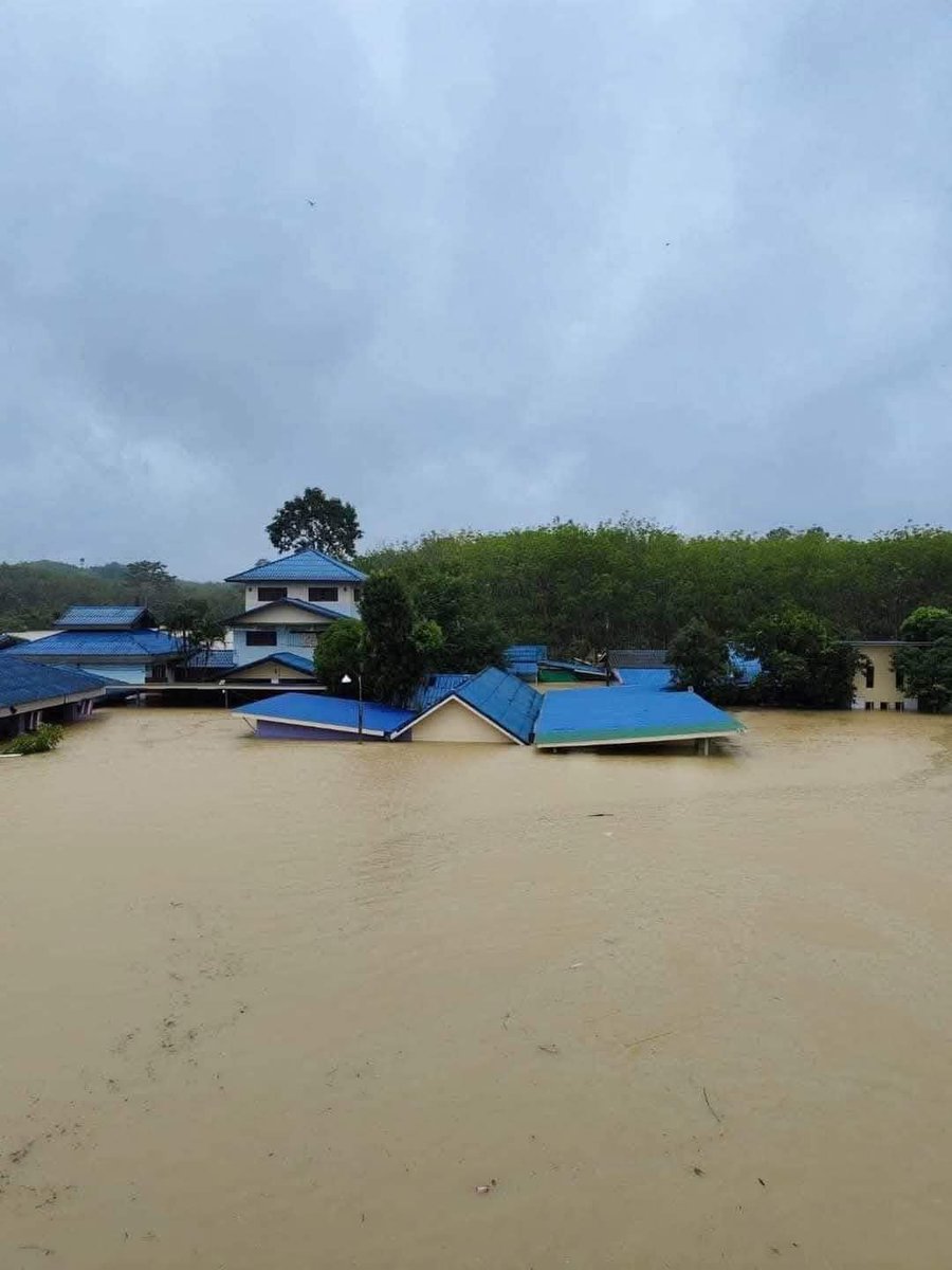 mononewsth's tweet photo. น้ำท่วมสูงเกือบมิดหลังคา และยังมีฝนตกต่อเนื่อง

เผยสถานการณ์น้ำท่วมล่าสุดช่วงเวลา 17.00 น. วันที่ 27 พ.ย. 67  ที่ อ.ยะหา จ.ยะลา

ขอขอบคุณที่มา - กรมอุตุนิยมวิทยา

#Mononews #ฝนตกหนัก #น้ำท่วมยะลา #น้ำท่วมภาคใต้ https://t.co/ViDN6qlSBC