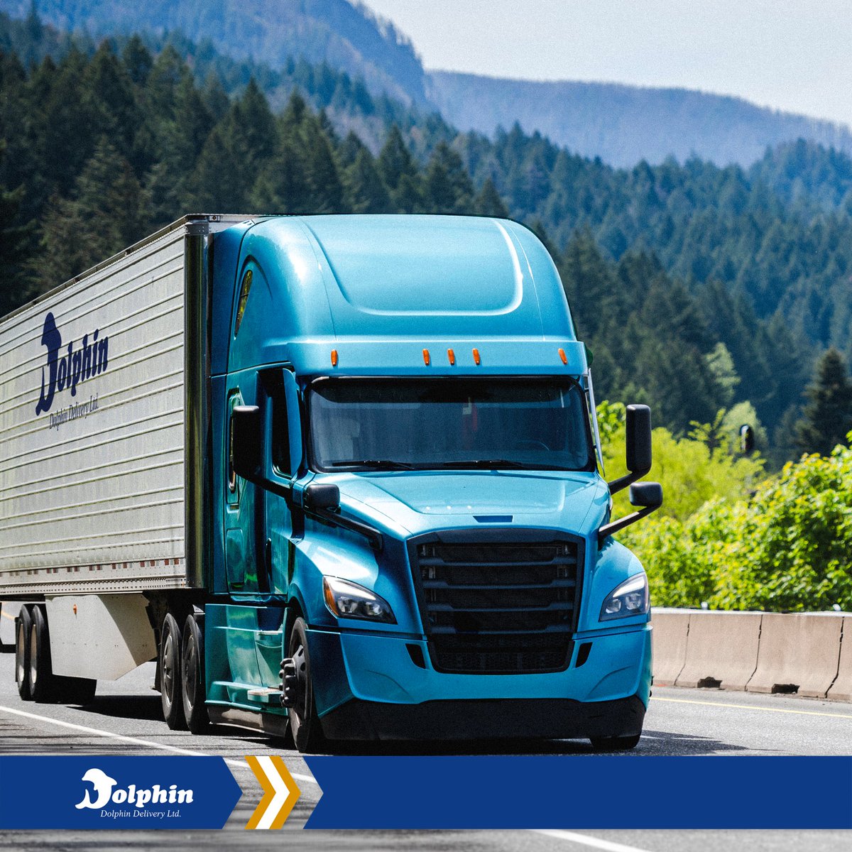 Big blue, rolling through to Seattle. Happy early Thanksgiving to all of our American friends, be sure you give Dolphin Delivery a call for all of your cross-border shipping needs.