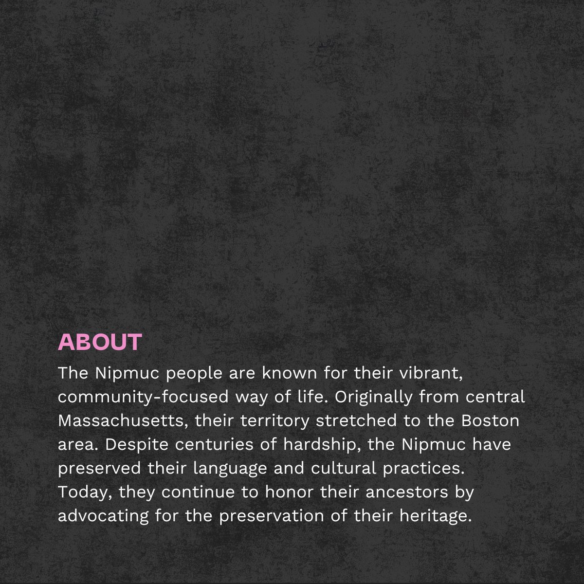 Take a moment this National Native American Heritage Month to learn about two Massachusetts’ Indigenous tribes.
#NationalNativeAmericanHeritageMonth

Photo credit
(slide 1): Douglas Hook / Hartford Courant