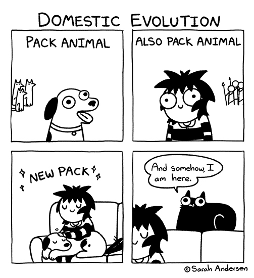 Sarah Andersen tweet media