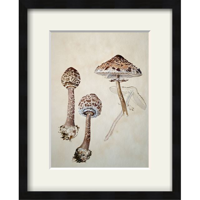 #AD Treat yourself or a loved one to a #BlackFriday deal on <a href="/artukdotorg/">Art UK</a> 📷
Get 10% off all prints TODAY - all purchases directly support UK art collections, including us!
Shop here: tinyurl.com/49uds2p2
#BeatrixPotter
#CharlotteMason
#KurtSchwitters
#BridgeHouse