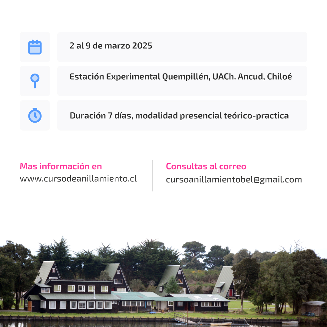 Instituto Milenio BASE tweet media