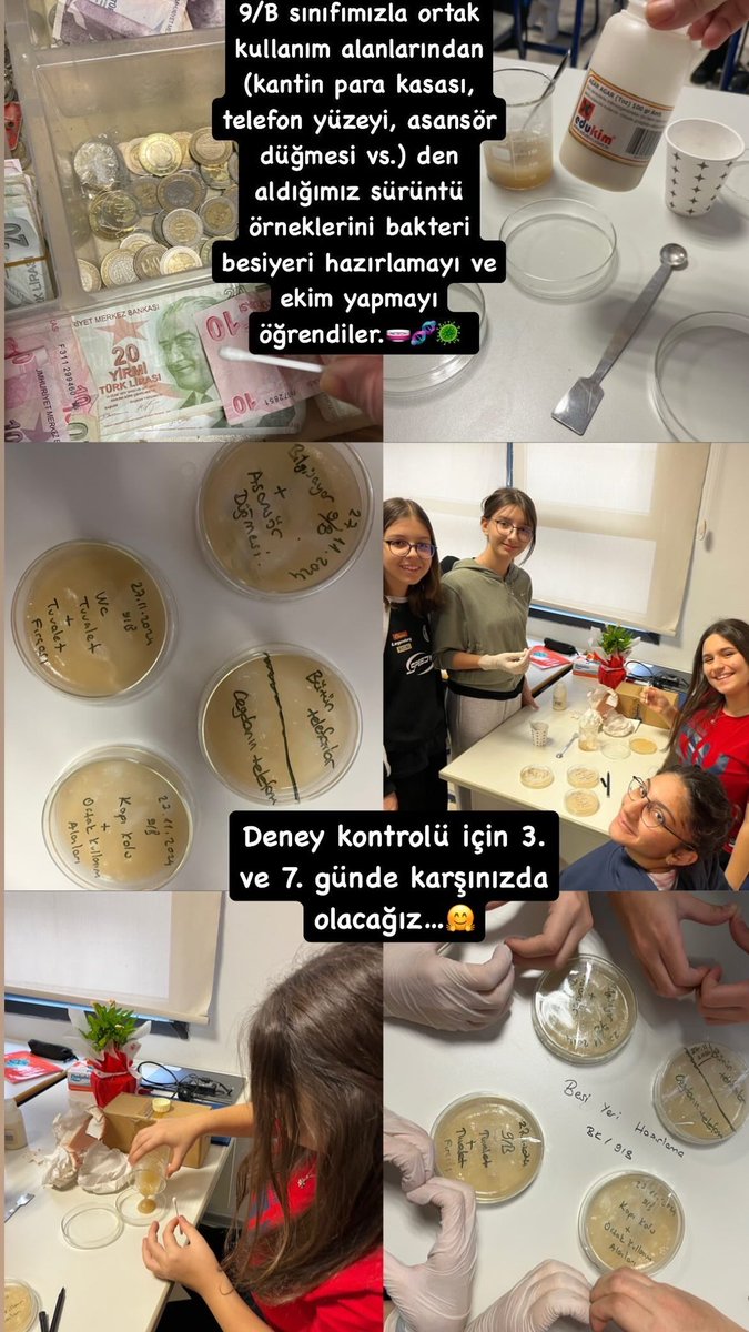 Eda Başaran BK (@edabiyo) on Twitter photo 9/B sınıfımız, ortak kullanım alanları(kantin para kasası, telefon yüzeyi, asansör düğmesi vb.) den aldığımız sürüntü örneklerini bakteri besiyerine ekim yapmayı öğrendiler.🧫🧬🦠 <a href="/BahcesehirBursa/">BK Bursa Bademli Kampüsü</a> <a href="/demirkemal08/">kemal demir</a> <a href="/mehvespamukcuu/">MEHVEŞ PAMUKÇU</a> <a href="/mustafakaskaval/">Mustafa Kaşkaval</a> <a href="/TumaySen/">Tümay Şen</a> <a href="/SenemGkta3/">Senem Göktaş</a> 🔬 9/B sınıfımız, ortak kullanım alanları(kantin para kasası, telefon yüzeyi, asansör düğmesi vb.) den aldığımız sürüntü örneklerini bakteri besiyerine ekim yapmayı öğrendiler.🧫🧬🦠 <a href="/BahcesehirBursa/">BK Bursa Bademli Kampüsü</a> <a href="/demirkemal08/">kemal demir</a> <a href="/mehvespamukcuu/">MEHVEŞ PAMUKÇU</a> <a href="/mustafakaskaval/">Mustafa Kaşkaval</a> <a href="/TumaySen/">Tümay Şen</a> <a href="/SenemGkta3/">Senem Göktaş</a> 🔬