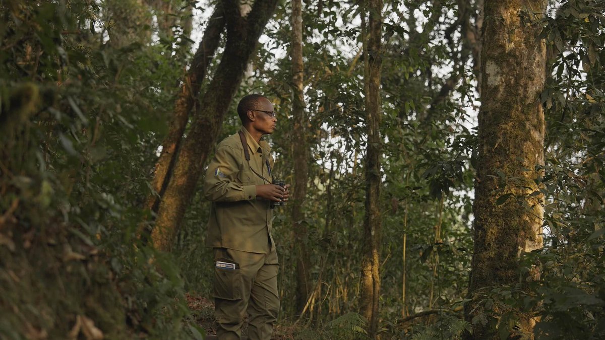 Congratulations to Claver Ntoyinkima of Nyungwe National Park, winner of the Tusk Wildlife Ranger Award! 🌿 Your dedication inspires us all and highlights the vital role of rangers in safeguarding Africa’s protected areas. 👏 
Read more: bit.ly/3AYyI8Q
