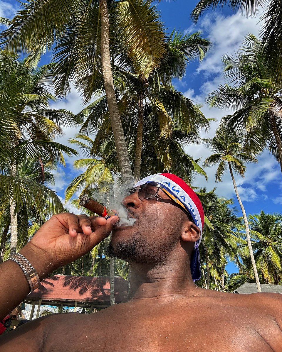 BestOfSDM_'s tweet photo. 🥥🇩🇴🎱 https://t.co/qhTrQDuPBv
