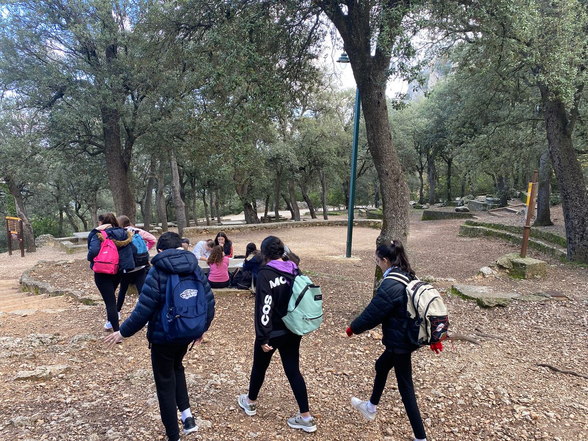 🦊 Nuestro nuevo 'amigo' Font Roja #Alcoi