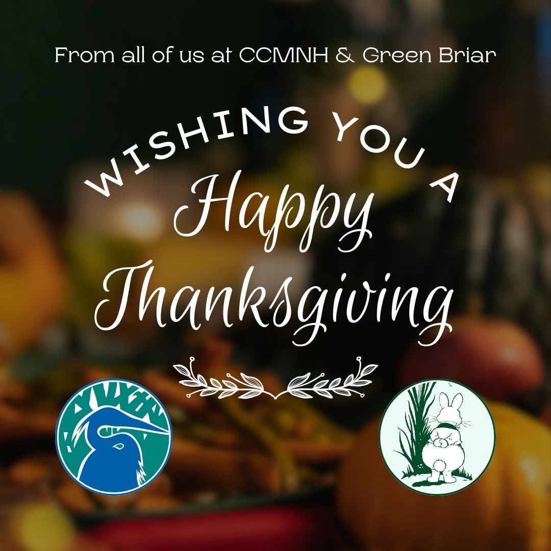 Happy Thanksgiving from all of us at CCMNH &amp; Green Briar. We will be Closed  November 27th &amp; November 28th so our staff and volunteers can celebrate Thanksgiving.

Make sure to Shop Small and Local this weekend at the Green Briar Mercantile &amp; the CCMNH Science Shop!