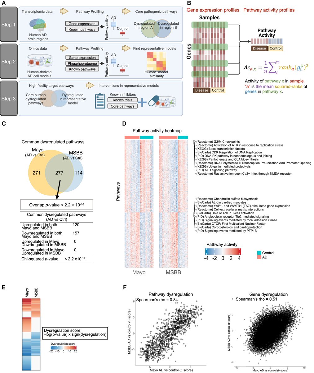LukensJohnR's tweet image. Integrative pathway analysis across humans and 3D cellular models identifies the p38 MAPK-MK2 axis as a therapeutic target for Alzheimer’s disease. cell.com/neuron/fulltex… 
@NeuroCellPress