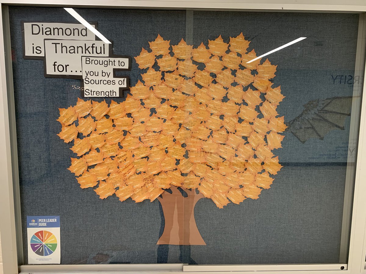 The Diamond community is rooted in gratitude during this holiday season. Happy Thanksgiving to all. #Gratitude #SourcesofStrength #Wellness #joyinlearning #selfcare