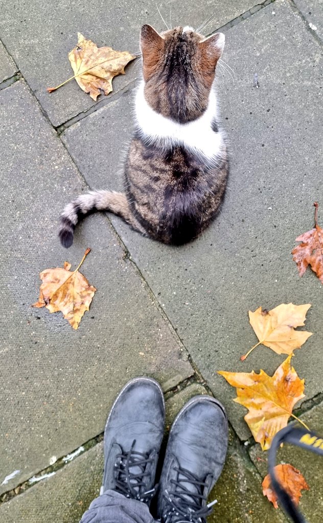 #Autumn
