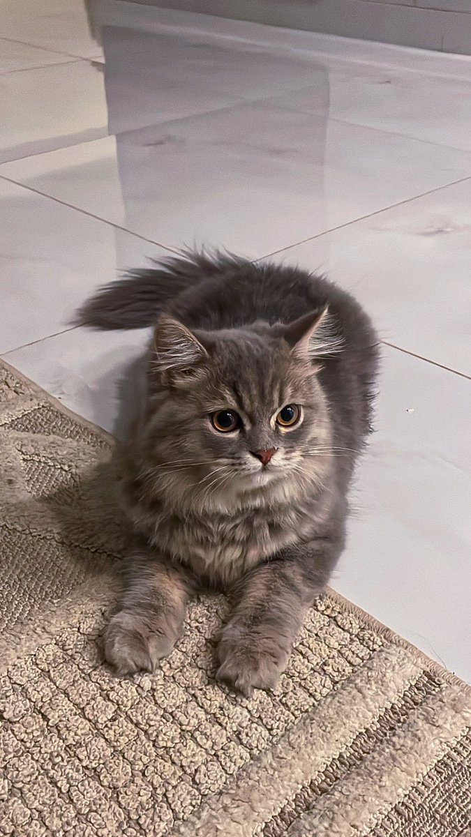 اعلى مراحل الروقان
