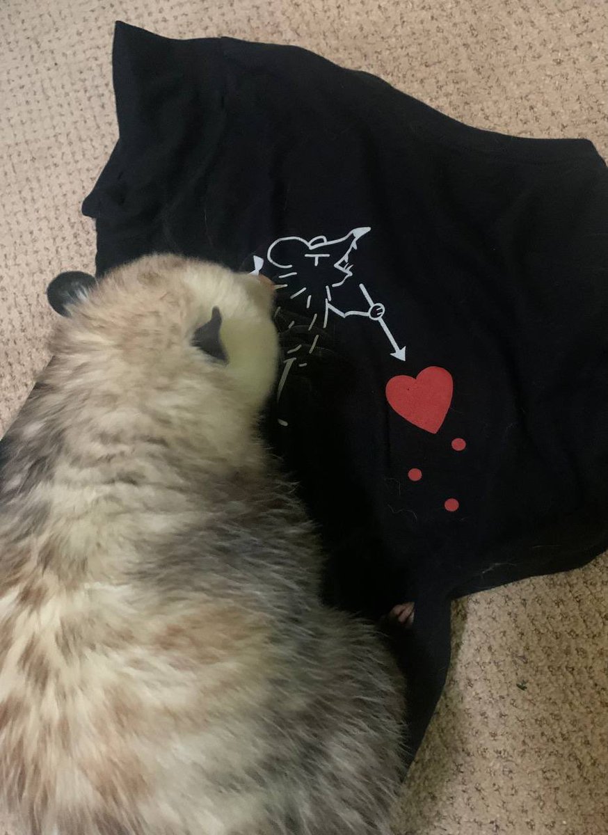 possumsofhazard's tweet image. Black Friday sale is live!!!

20% off site wide. Discounts automatically applied. Sale will last through Cyber Monday

possumsofhazard.bigcartel.com