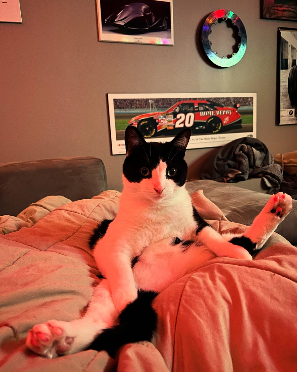 Charlie just got his tickets to see us play at Red Bird Live in Ottawa on January 25. Be like Charlie and get your tickets today. 

TIX:  showpass.com/lynne-hanson-2/

DISCLAIMER:  cats aren’t actually allowed to come to shows at Red Bird because birds don’t like cats.