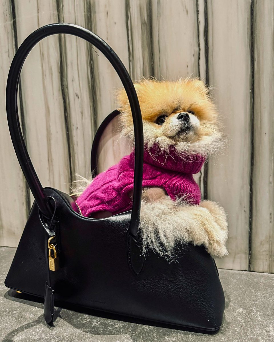 Stella McCartney tweet media