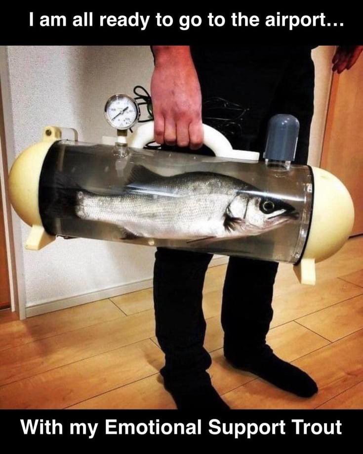 MrSmall 🏴 tweet media