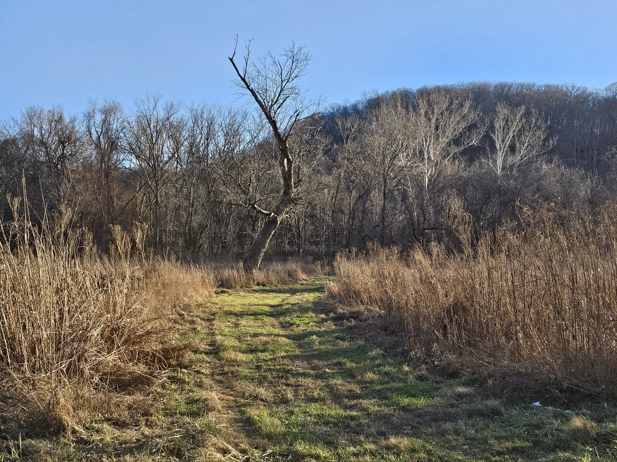 Sarshe330's tweet image. Getting lost somewhere is better than any therapy you could ever pay for.