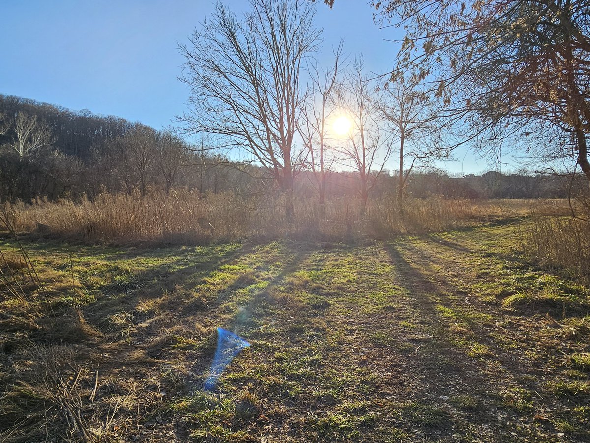 Sarshe330's tweet image. Getting lost somewhere is better than any therapy you could ever pay for.