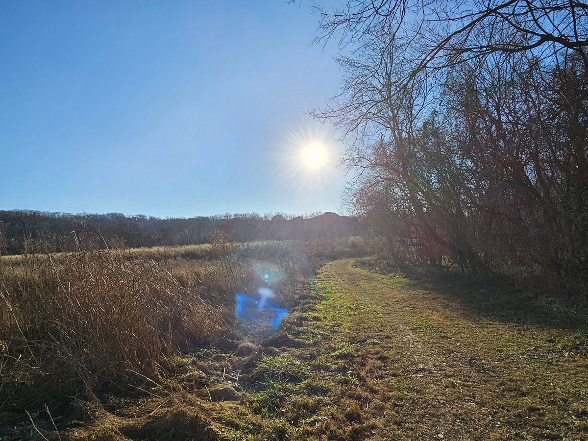 Sarshe330's tweet image. Getting lost somewhere is better than any therapy you could ever pay for.