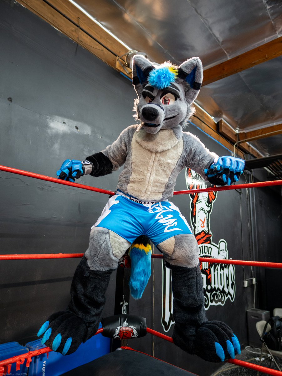 With all thats been going on, I didnt have a chance to mention that this dog gonna be punching things at #MFF24! Let's gooooooo!