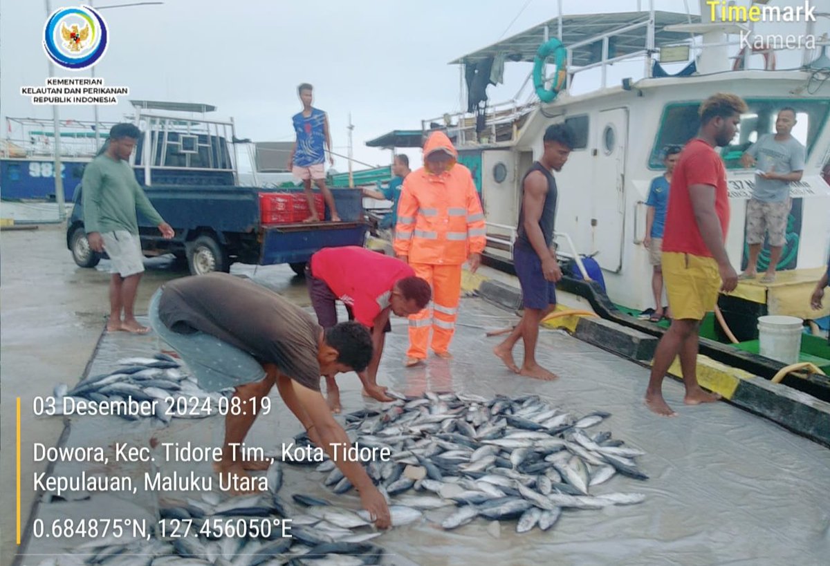 burtidore1's tweet photo. Selasa (03/12/2024),Burhan Samad, Luhkan Kota Tidore, melaporkan  Hasil Tangkap KUB. Citra Bahari Kel. Tomalou  Kec, Tidore Selatan, ikan cakalang sebanyak 470  kg/ Rp. 18.000
#GiatLuhkanSatminkalAmbon
@BP3_Ambon https://t.co/WmEalpSMts