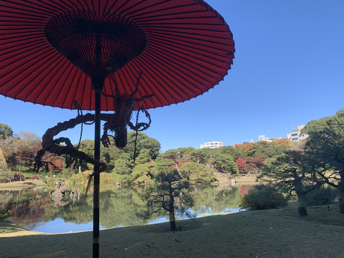 RICOYUZEN's tweet photo. ずっーと行きたかった、六義園ひとり、ふらりーと行ってきました〜〜
タイミングよく綺麗な紅葉🍁
の時期、お抹茶をいただいてひととき至福の時間♡
@rico_yuzen #六義園の紅葉 #日本の美しい風景 #紅葉 #抹茶 #japan #foliage #beatifulday https://t.co/21RHIzjbEP
