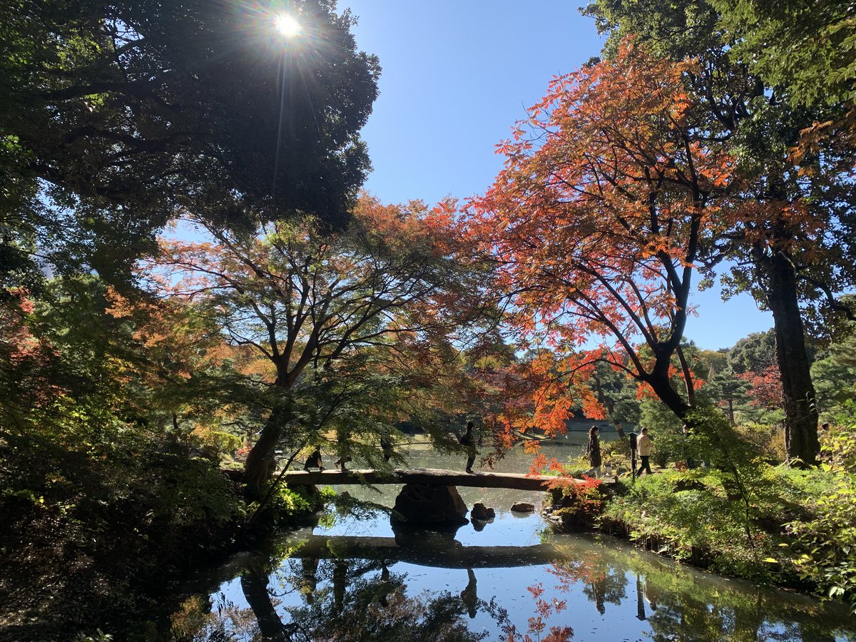 RICOYUZEN's tweet photo. ずっーと行きたかった、六義園ひとり、ふらりーと行ってきました〜〜
タイミングよく綺麗な紅葉🍁
の時期、お抹茶をいただいてひととき至福の時間♡
@rico_yuzen #六義園の紅葉 #日本の美しい風景 #紅葉 #抹茶 #japan #foliage #beatifulday https://t.co/21RHIzjbEP