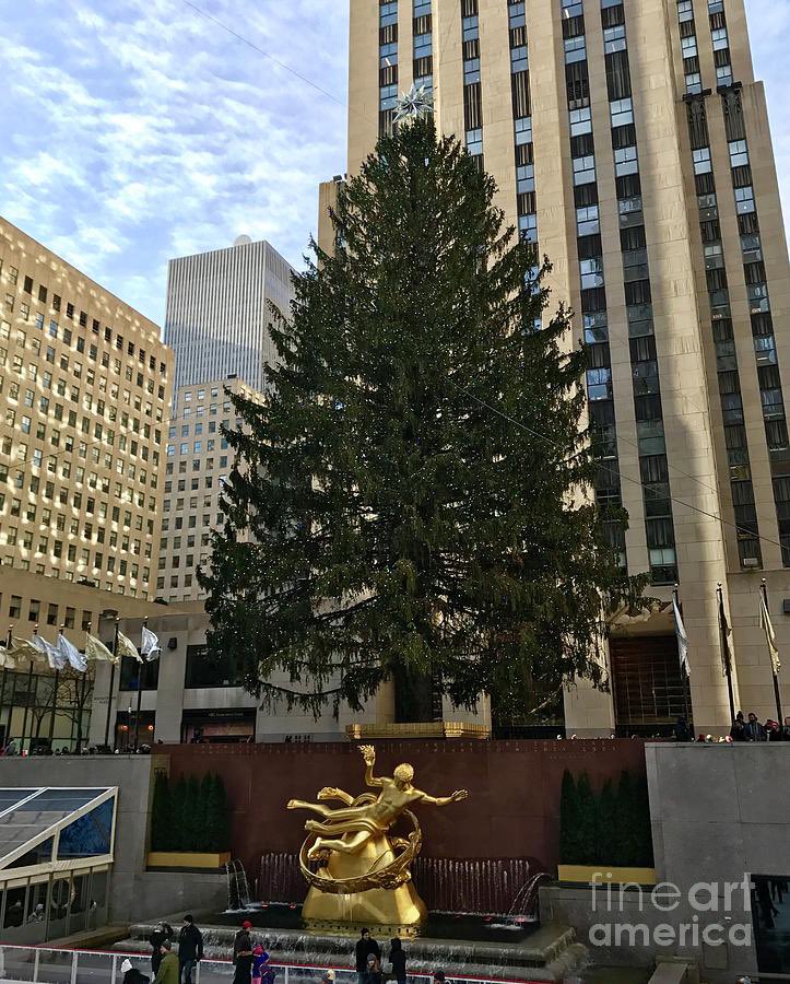 CACGraphics's tweet photo. “Rockefeller Center Tree NYC”🎄
Prints &amp; accessories available-
> https://t.co/oQllwy3f3i
#Christmas #RockCenterXMAS #ChristmasTree #NewYorkCity #artprints #artforsale #puzzles #wallart #homedecor #fineart #photography #gifts #giftideas #interiordesign https://t.co/K0gAdjJqBF