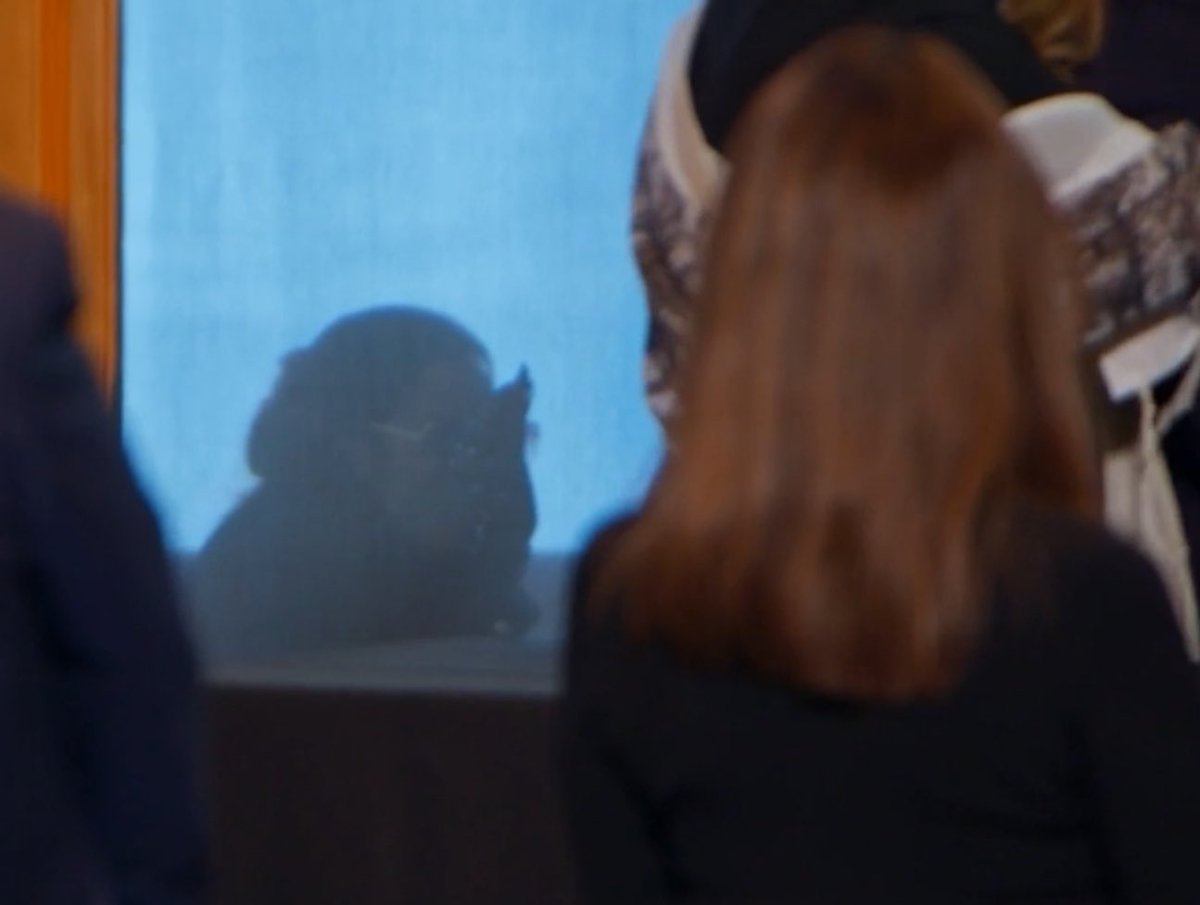 Dustin_Cone's tweet photo. Mary not knowing how to get into Meredith’s Bat Mitzvah and just peeking through the windows has me cackling 😅 #RHOSLC https://t.co/FqHhhBhkO4