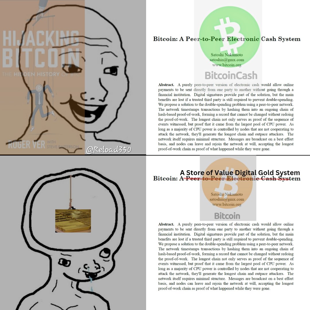 #Bitcoincash #BCH #FreeRoger #Bitcoin #Hijackingbitcoin #cryptocurrency #P2P #Crypto #Freedom #Memes