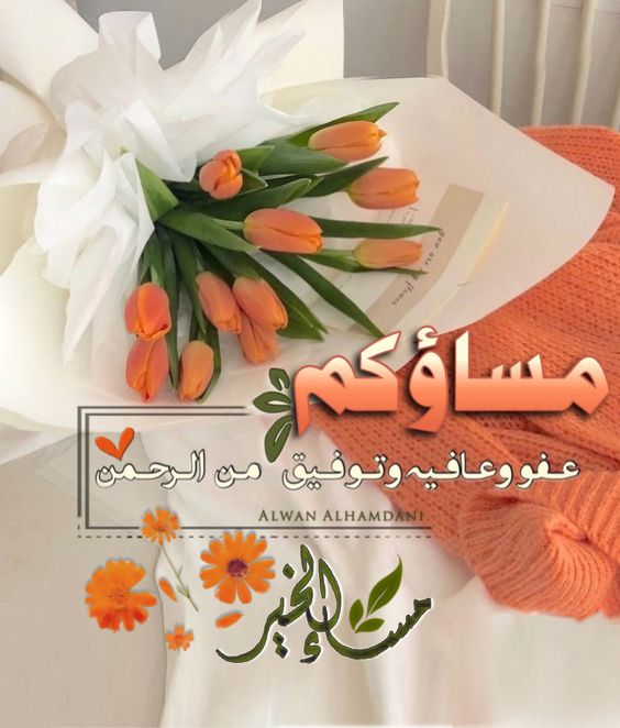 اللهم في هذا المساء سخر لنا من الأقدار أجملها ومن السعادة أكملها ومن الأمور أسهلها ومن حوائج الدنيا أيسرها وأحسنها #مساء_الخير_للجميع.