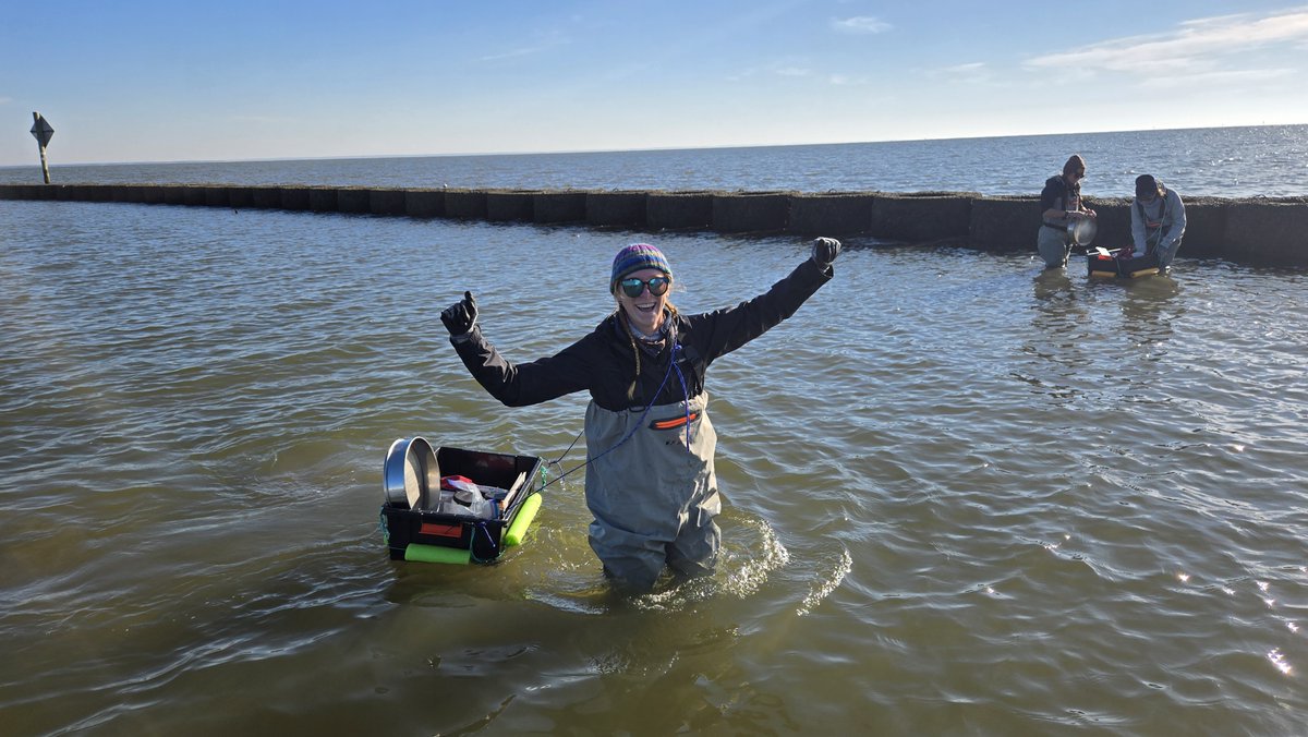 disealab's tweet photo. In the field today with Dr. Ronnie Baker's Lab. The team collected infauna samples. Infauna are the animals that live in the sediment. They also sampled bivalve populations on the breakwater. 

#DISLresearch #InTheField #DiscoverDISL https://t.co/nBWoVk2kpe
