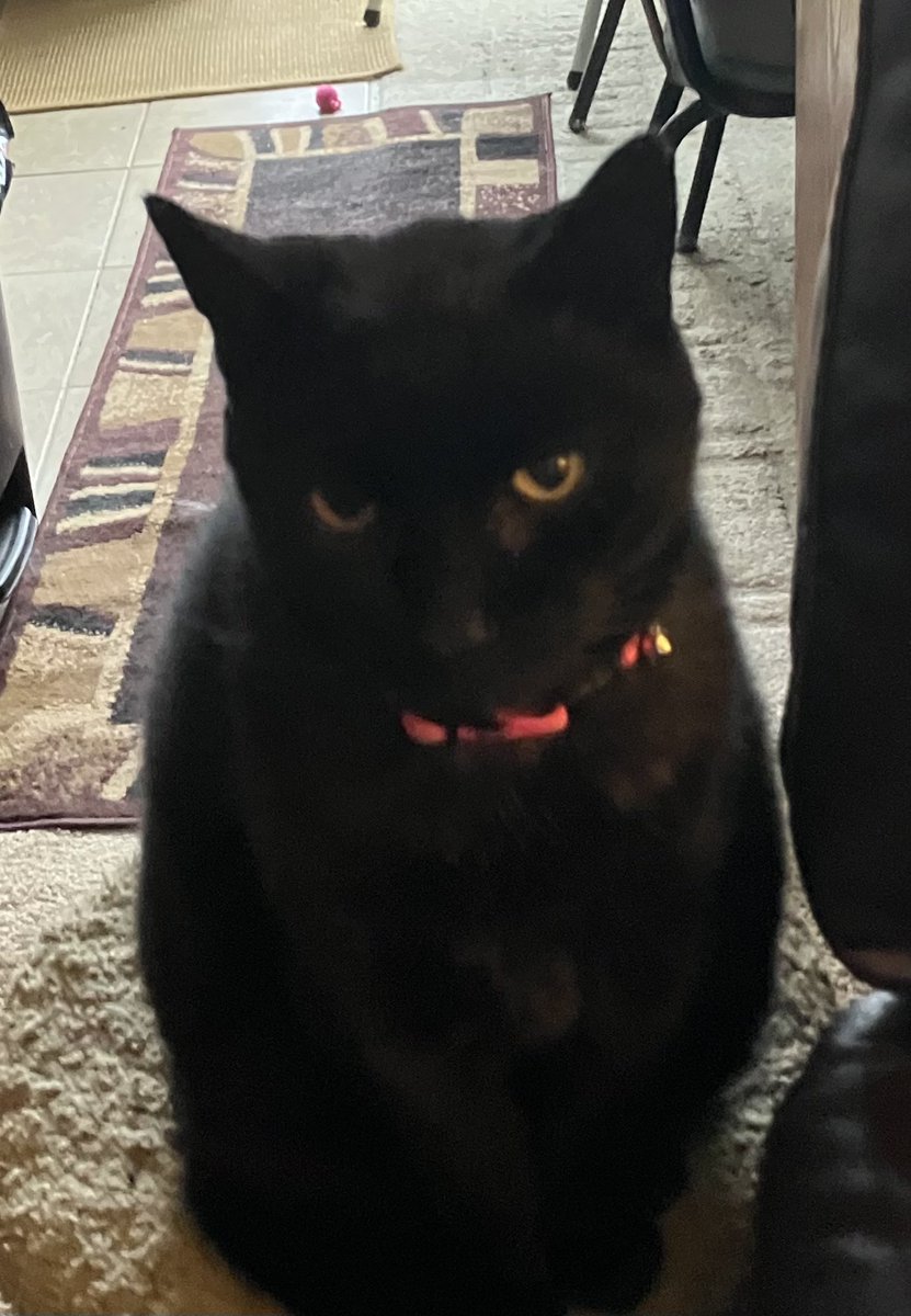 CrossfireHurricane🌊🌊🌊 tweet media