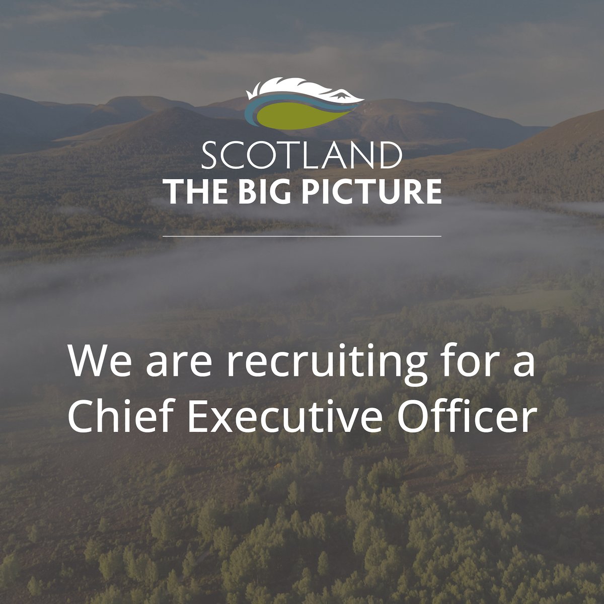 SBP has grown in recent years from a small group of pioneers to a highly talented team of rewilding professionals. 

As we embark on the next chapter in our exciting journey, we are looking for a new leader with the skills, passion and experience to take our work to the next