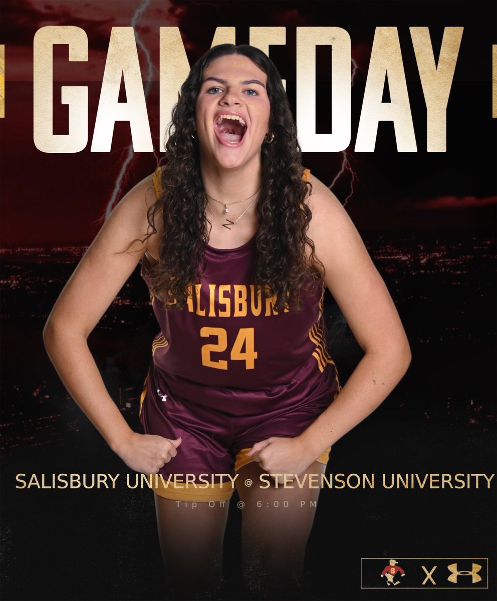 🚨GAMEDAY🚨

On the road at 6:00 PM EST vs Stevenson University 

#GOGULLS