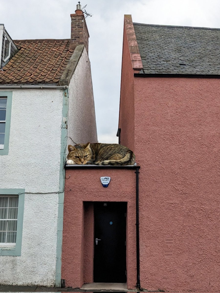 *Archive:

spotted by: choupette_lagerfeld;

56.004389,-2.515297;

1216hrs 27/4/23